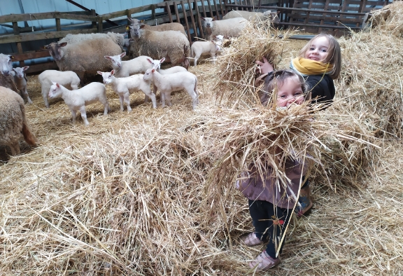 A la découverte des animaux de la ferme